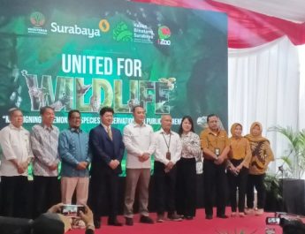 KBS Punya 50 Lebih Komodo, Dipercaya Jepang untuk Program Breeding Internasional