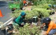 DPRD Surabaya Apresiasi Gerak Cepat DLH Pulihkan Taman Rusak Usai Surabaya Vaganza