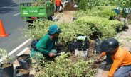 DPRD Surabaya Apresiasi Gerak Cepat DLH Pulihkan Taman Rusak Usai Surabaya Vaganza