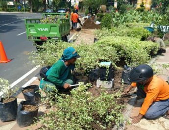 DPRD Surabaya Apresiasi Gerak Cepat DLH Pulihkan Taman Rusak Usai Surabaya Vaganza