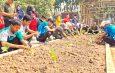Hardiknas di Gresik, Cabdin Apresiasi Prestasi Dan Luncurkan Program Ketahanan Pangan Sekolah