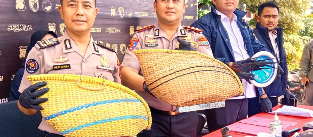 Gerebek Arena Sabung Ayam Sumengko Wringinanom, Polres Gresik Amankan 6 Pejudi