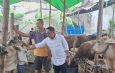 Anas Karno Soroti Penataan dan Kebersihan Lapak Hewan Kurban di Surabaya