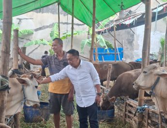 Anas Karno Soroti Penataan dan Kebersihan Lapak Hewan Kurban di Surabaya