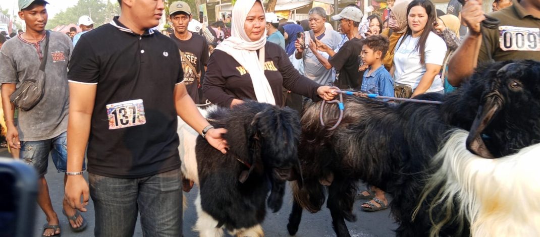 Ratusan Kambing Ramaikan Kurban Runner di Gresik, Festival Unik Dongkrak Peternak Lokal
