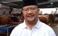 RPH Surabaya Targetkan 200 Sapi Kurban, Layanan Pemotongan Naik pada Iduladha 2026