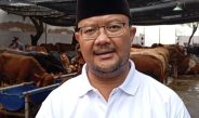 RPH Surabaya Targetkan 200 Sapi Kurban, Layanan Pemotongan Naik pada Iduladha 2026