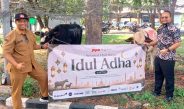 Momen Idul Adha, BKMS dan Tenant JIIPE Salurkan Hewan Kurban untuk Masyarakat