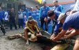 DPD PAN Sidoarjo Bagikan 700 Paket Daging Kurban, Untuk Kader, Para Janda hingga Ojol