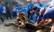 DPD PAN Sidoarjo Bagikan 700 Paket Daging Kurban, Untuk Kader, Para Janda hingga Ojol