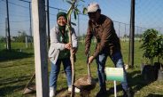 Pegadaian Kanwil XII Surabaya Tanam 240 Pohon di Malang