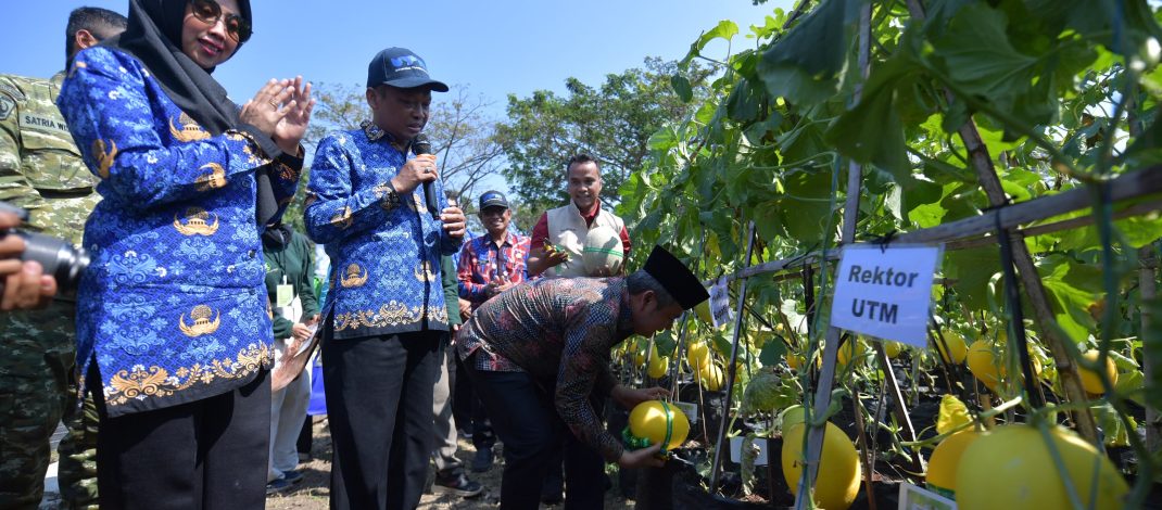 Kembangkan Inovasi Pertanian, Siapkan Varietas Unggul Hasil Riset Sendiri