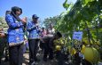 Kembangkan Inovasi Pertanian, Siapkan Varietas Unggul Hasil Riset Sendiri