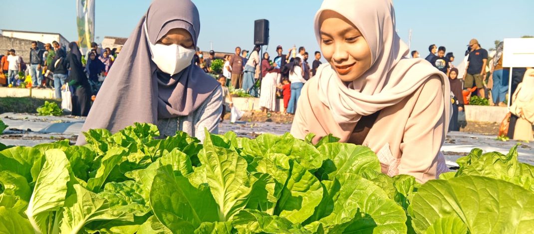 Keseruan Warga Gresik Petik Ribuan Buah dan Sayur di Ajang PAE 2026 Petrokimia Gresik