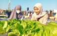 Keseruan Warga Gresik Petik Ribuan Buah dan Sayur di Ajang PAE 2026 Petrokimia Gresik