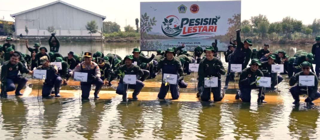 Jaga Pesisir dan Ekonomi Nelayan, Smelting dan Pemkab Gresik Tanam 10 Ribu Mangrove di Randuboto