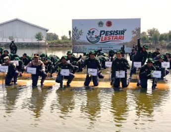 Jaga Pesisir dan Ekonomi Nelayan, Smelting dan Pemkab Gresik Tanam 10 Ribu Mangrove di Randuboto
