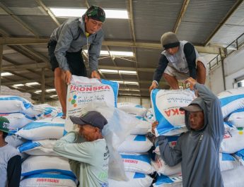 Transformasi Danantara Dongkrak Laba Pupuk Indonesia Jadi Rp 8,51 Triliun Pada Semester I