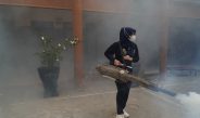 Ning Lia: Profesi Petugas Fogging Bukan Pekerjaan Mudah