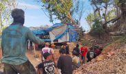 Longsor Tambang Emas Ilegal Pesanggaran Banyuwangi: 3 Selamat, 1 Masih Tertimbun
