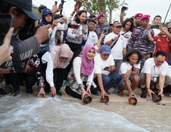 Safari Perhutanan Sosial di Tanjung Penyu, Ning Lia Lepas Tukik ke Laut
